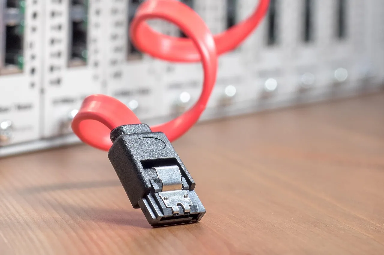 Ethernet cable and network patch panel used for FernByte business networking support